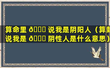 算命里 🐘 说我是阴阳人（算卦说我是 🍁 阴性人是什么意思）